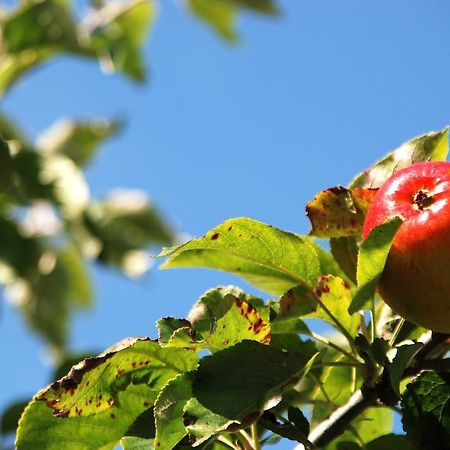 Cradog Farmhouse B&B Urlingford Екстер'єр фото