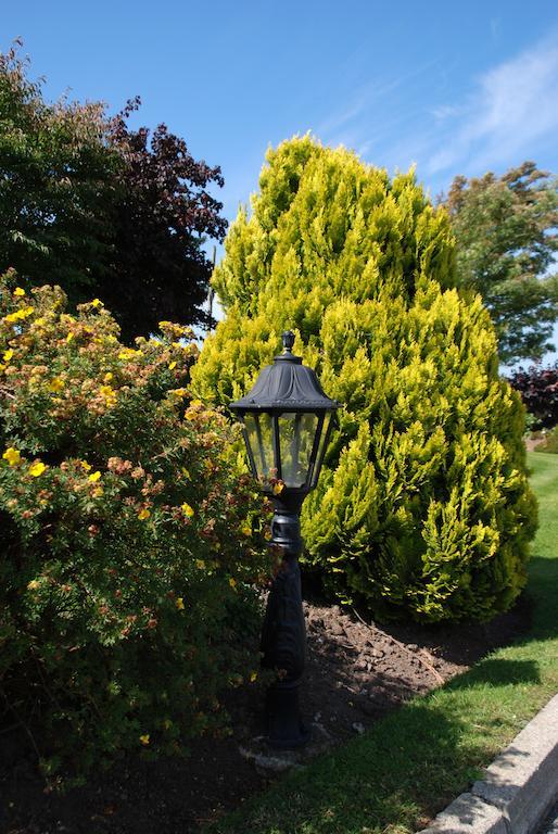 Cradog Farmhouse B&B Urlingford Екстер'єр фото